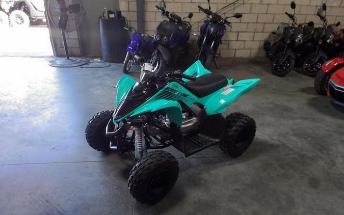 2025 Yamaha Raptor 110