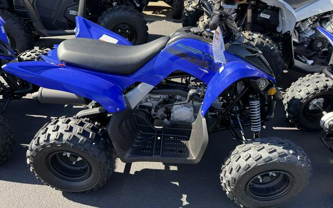 2025 Yamaha Raptor 110