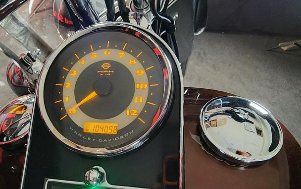 2009 HARLEY-DAVIDSON FLSTN - F052126