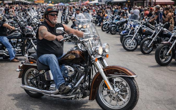 2009 HARLEY-DAVIDSON FLSTN - F052126