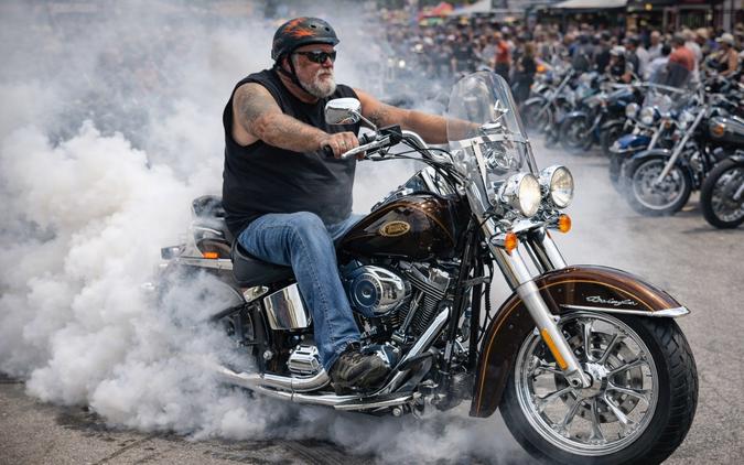 2009 HARLEY-DAVIDSON FLSTN - F052126