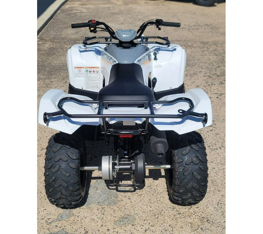 2024 Yamaha Grizzly 90