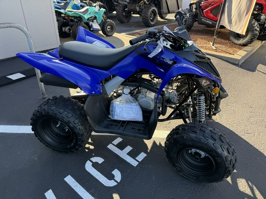 2025 Yamaha Raptor 110