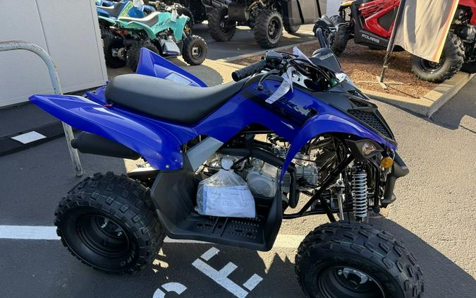 2025 Yamaha Raptor 110