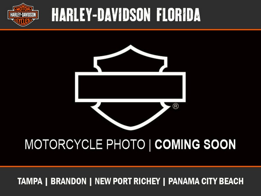 2004 Harley-Davidson Road King® Classic