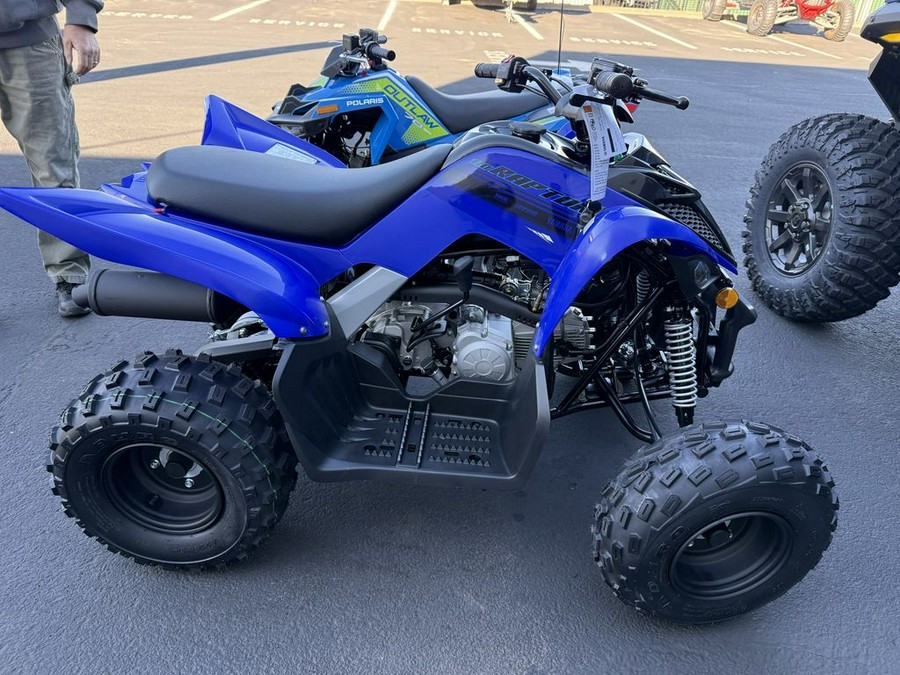 2025 Yamaha Raptor 110