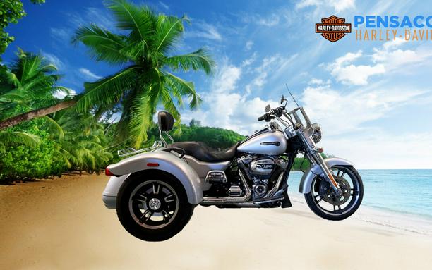 2020 Harley-Davidson Freewheeler