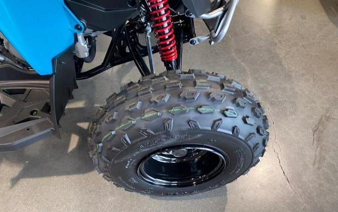 2026 Can-Am® Renegade 110 EFI