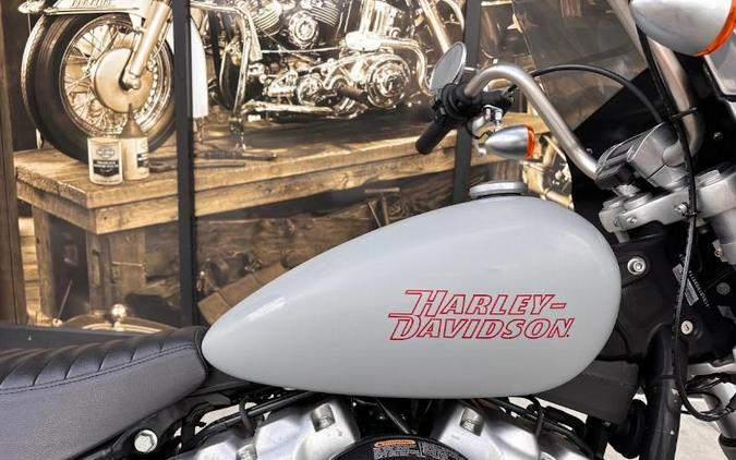 2024 Harley-Davidson SOFTAIL STANDARD