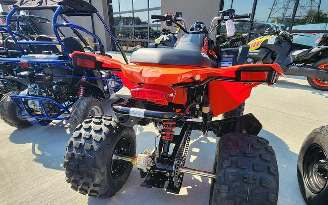 2023 Can-Am® DS 250