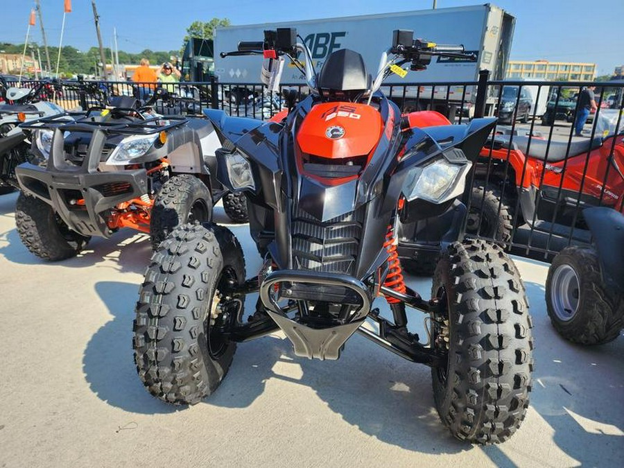 2023 Can-Am® DS 250