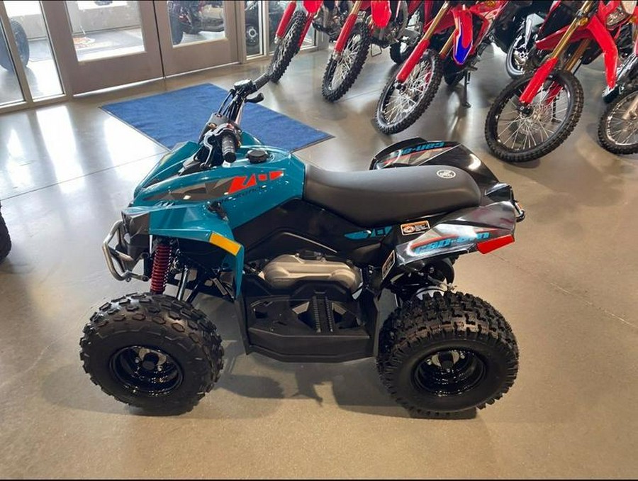 2026 Can-Am® Renegade 70 EFI