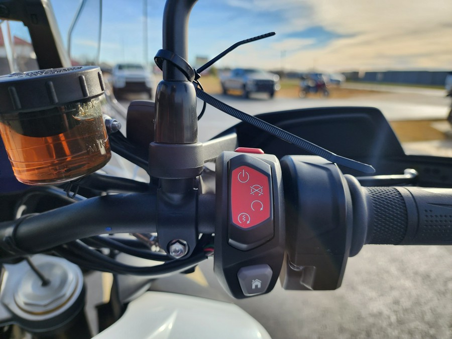 2023 Triumph Tiger 1200 Rally Pro