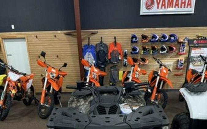 2026 CFMOTO CFORCE 500