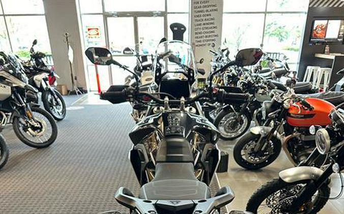 2024 Triumph Tiger 900 Rally Pro