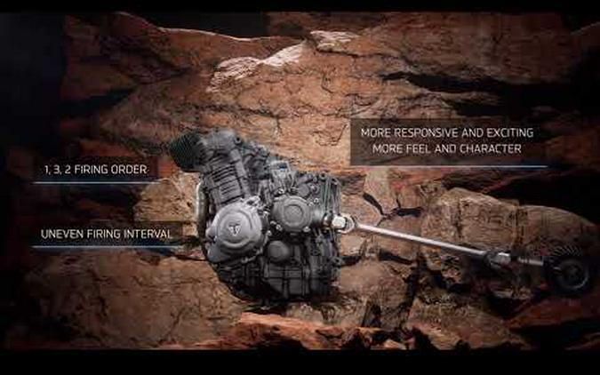 2025 Triumph Tiger 1200 Rally Pro