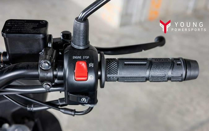 2026 Yamaha Zuma 125