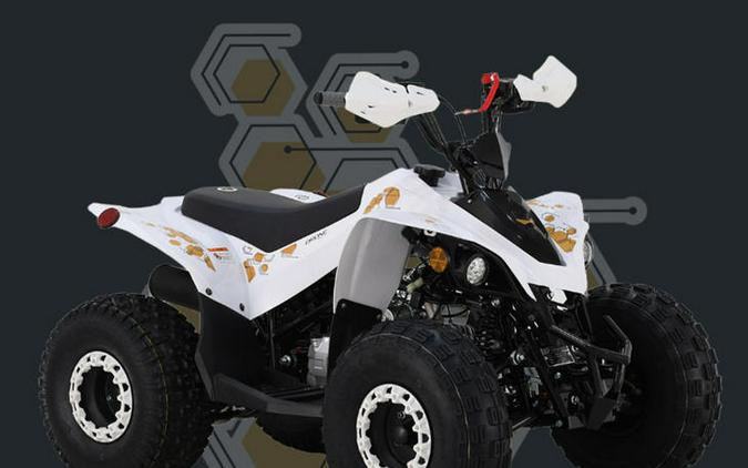 2026 BLP MOTOR DRONE 125 EFI