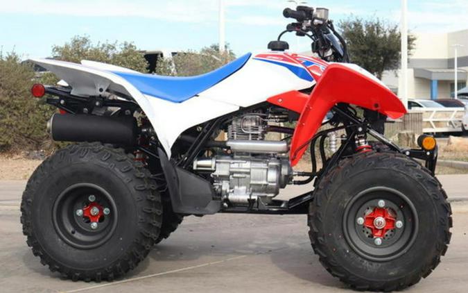 2026 Honda TRX 250X