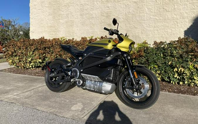 2020 Harley-Davidson LiveWire First Ride