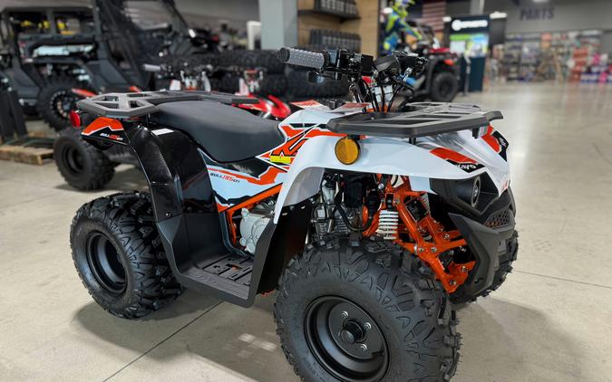 2026 Kayo Bull 125