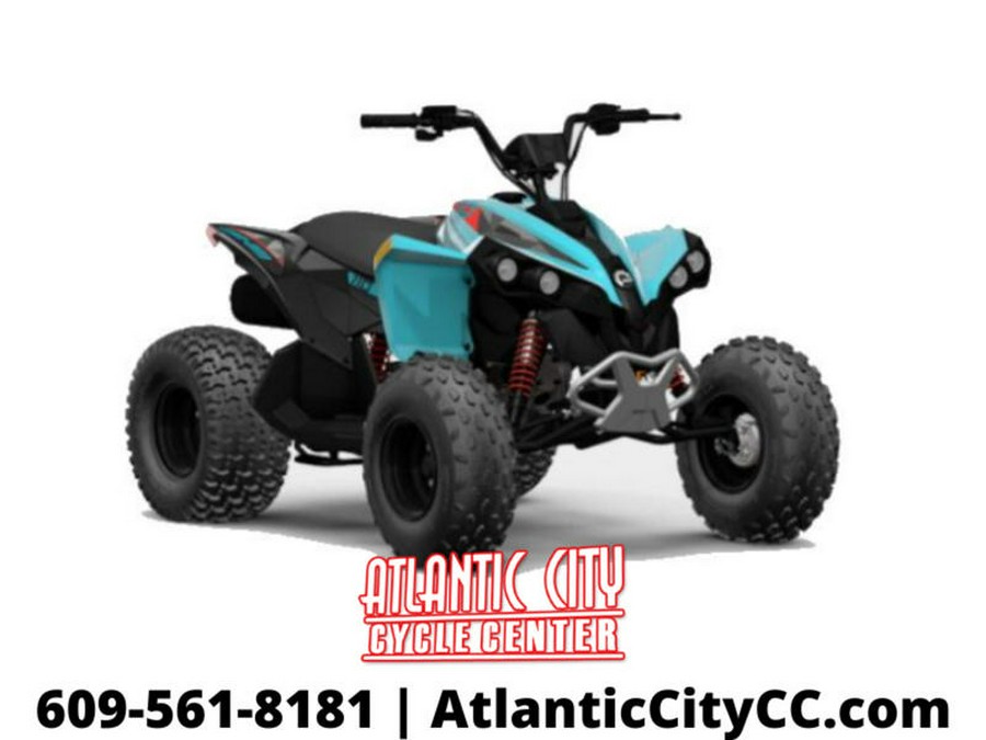 2024 Can-Am® Renegade 110 EFI