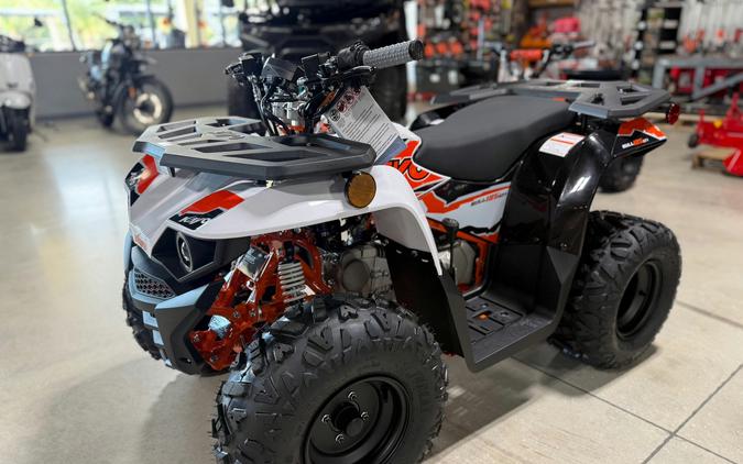 2026 Kayo Bull 125