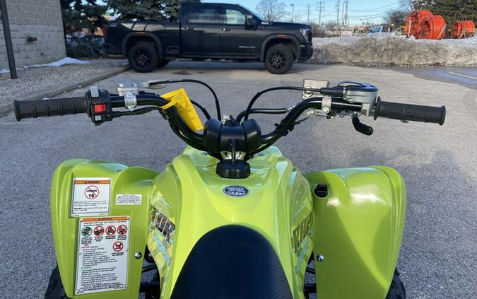 2026 Yamaha Raptor 700R SE