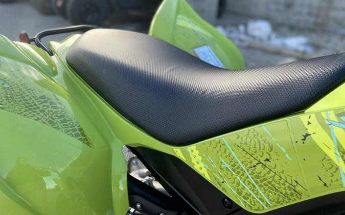 2026 Yamaha Raptor 700R SE