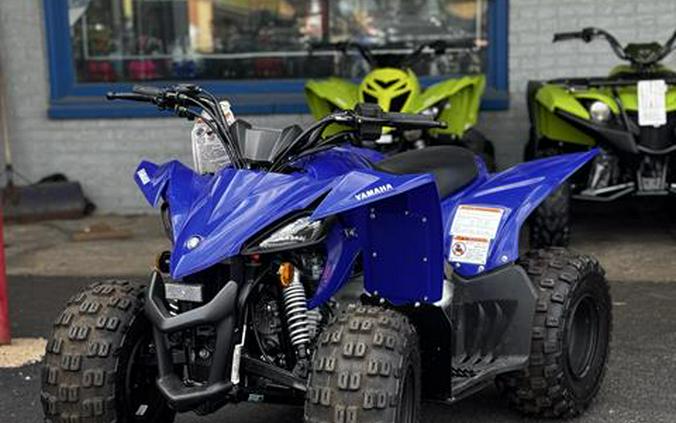 2026 Yamaha Raptor 110