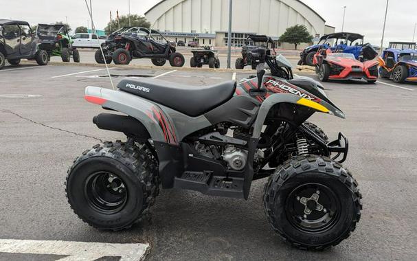 New 2024 POLARIS PHOENIX 200