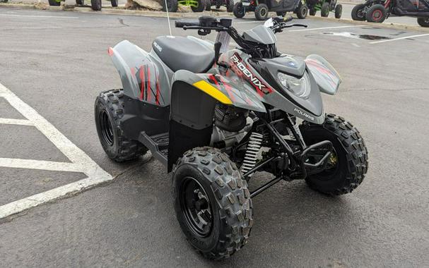 New 2024 POLARIS PHOENIX 200