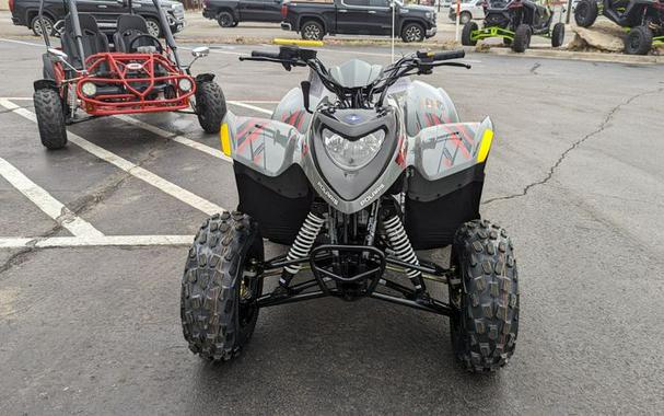 New 2024 POLARIS PHOENIX 200