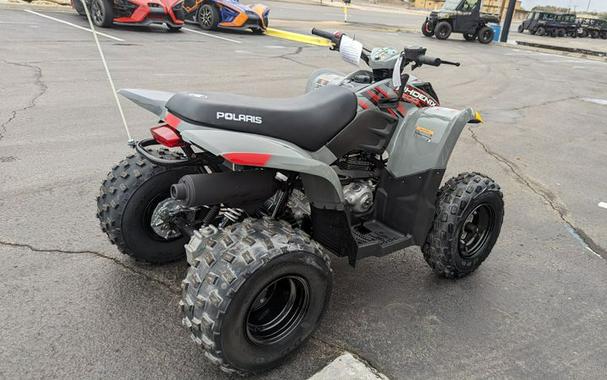 New 2024 POLARIS PHOENIX 200