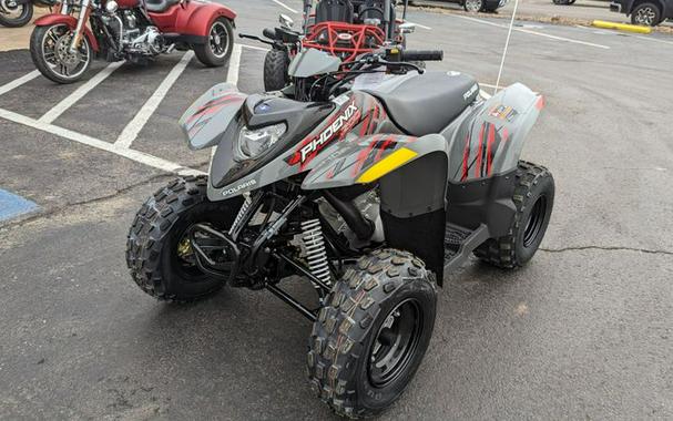 New 2024 POLARIS PHOENIX 200