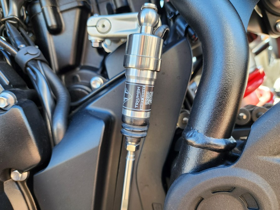 2025 Triumph Tiger 900 GT Pro