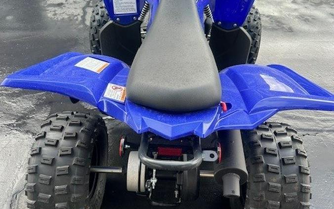 2023 Yamaha RAPTOR 90