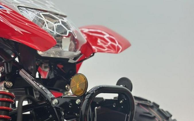 2026 Honda TRX 250X