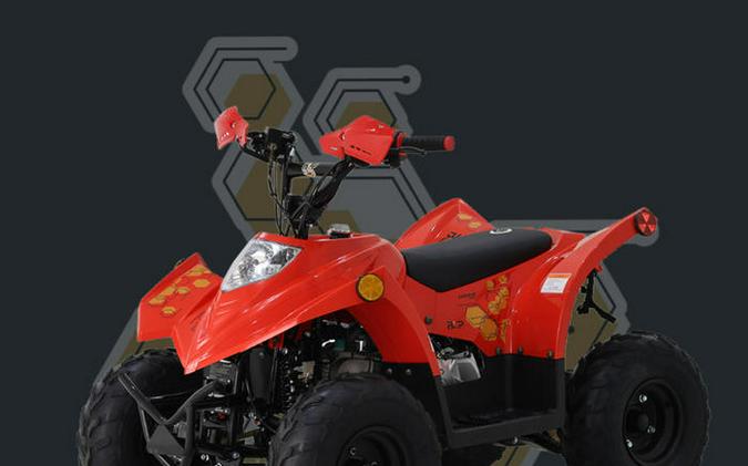 2026 BLP MOTOR DRONE 70