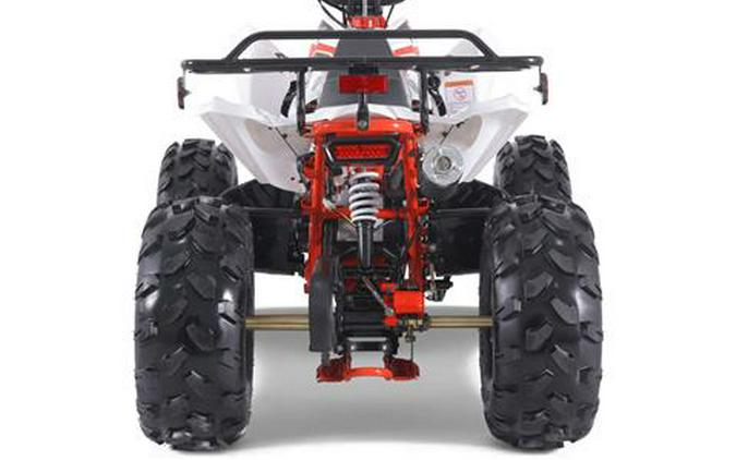 2025 Tao Motor Cheetah