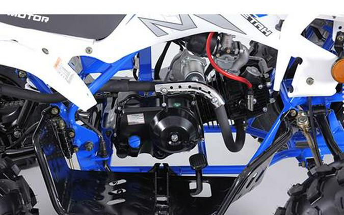 2025 Tao Motor Cheetah
