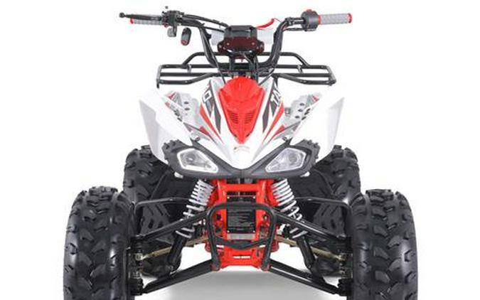 2025 Tao Motor Cheetah