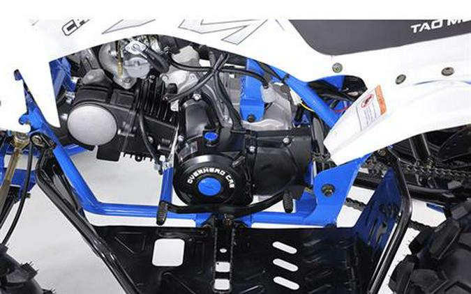 2025 Tao Motor Cheetah