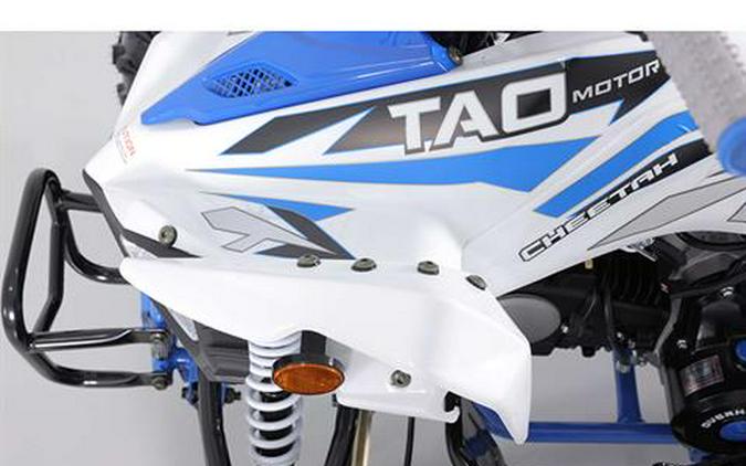 2025 Tao Motor Cheetah