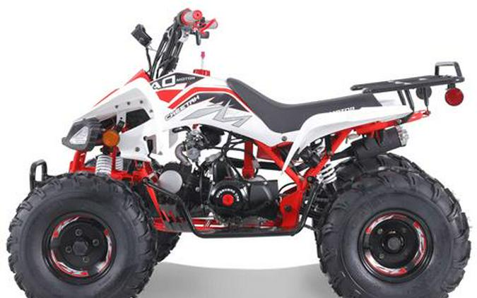 2025 Tao Motor Cheetah