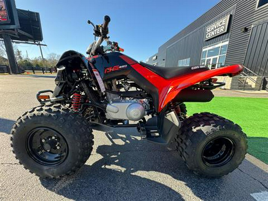 2024 Can-Am DS 250