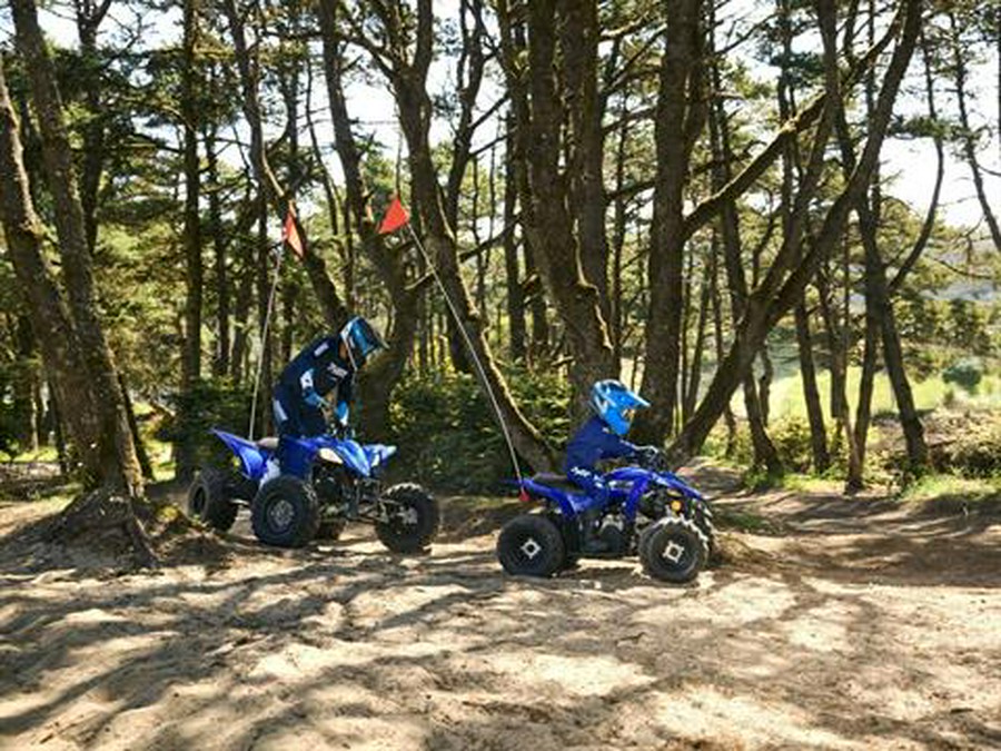 2026 Yamaha YFZ50