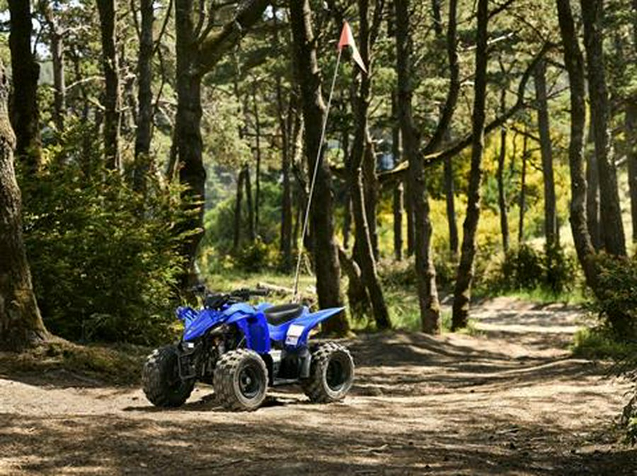 2026 Yamaha YFZ50