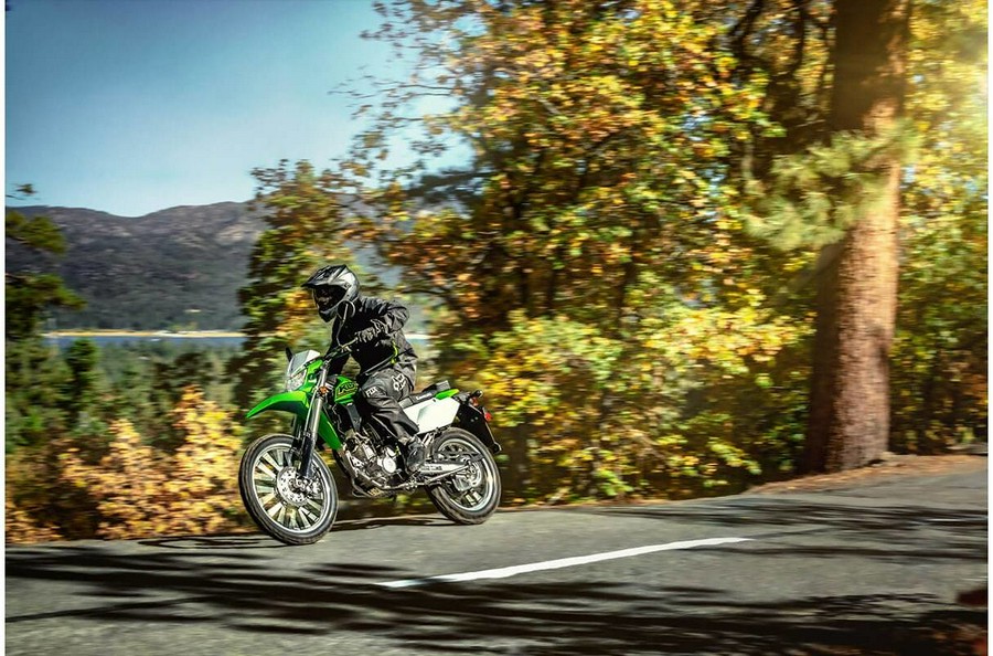 2021 Kawasaki KLX 300