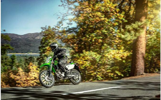 2021 Kawasaki KLX 300